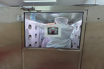 87bba53015535878a3f1f938cad0a8c 副本.jpg